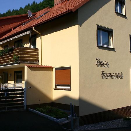 Haus-Kummeleck-Wohnung-3 Bad Lauterberg Zewnętrze zdjęcie