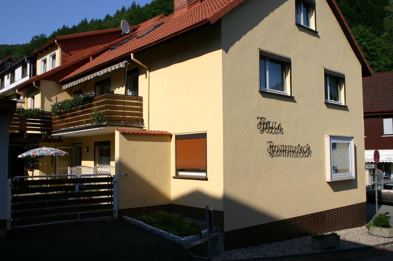 Haus-Kummeleck-Wohnung-3 Bad Lauterberg Zewnętrze zdjęcie