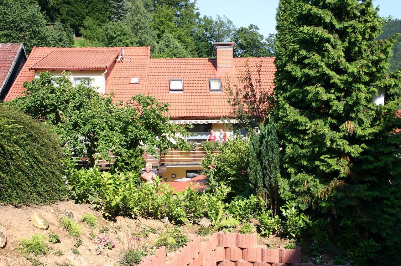 Haus-Kummeleck-Wohnung-3 Bad Lauterberg Zewnętrze zdjęcie